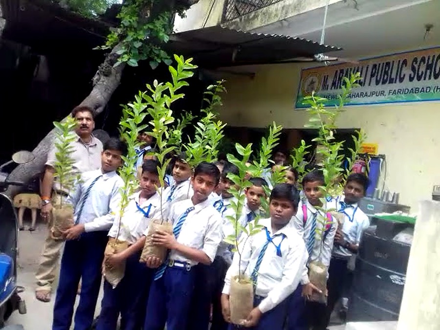 School campus with students and greenery